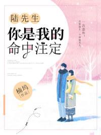 陆先生,你是我的命中注定